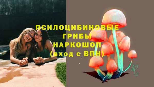 эйфоретик Аркадак