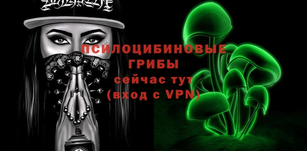 эйфоретик Аркадак
