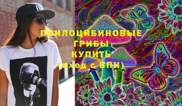 твердый Армянск